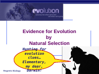 34evolution_Evidence2007 (1).ppt